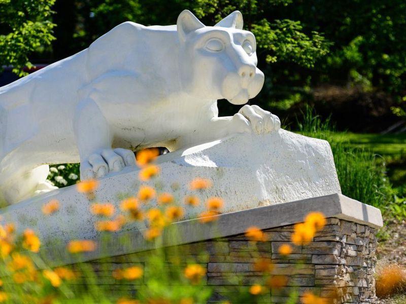 Lion Shrine York Summer 